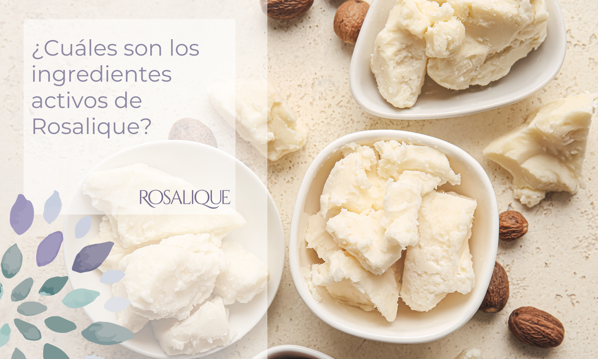 ¿Cuáles son los ingredientes activos de Rosalique?