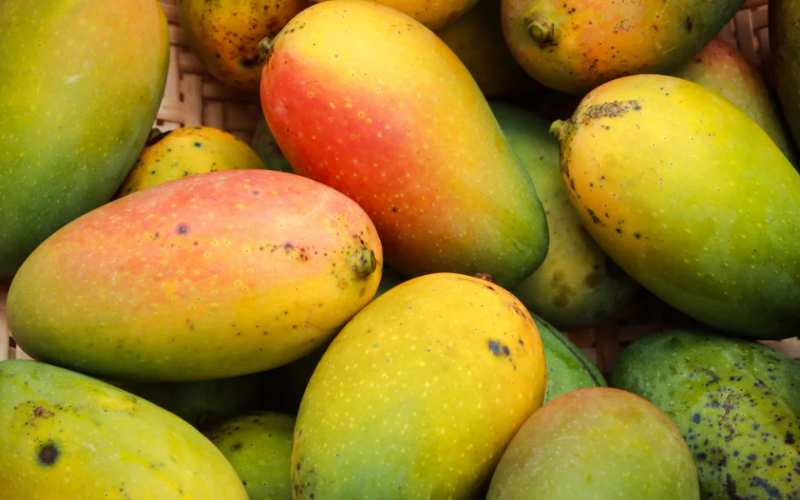 Mantequilla de Semillas de Mango