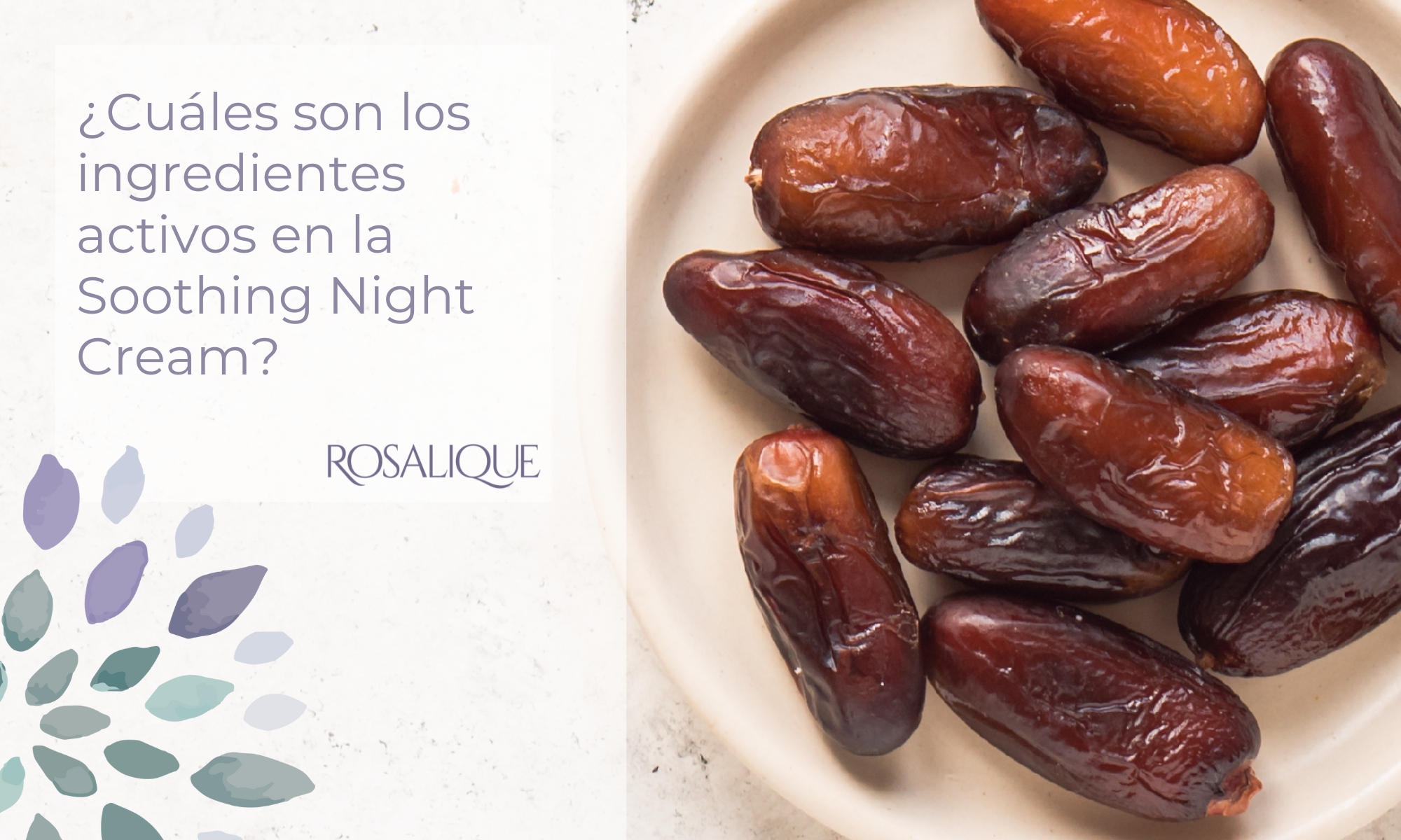 ¿Cuáles son los ingredientes activos en la Soothing Night Cream?