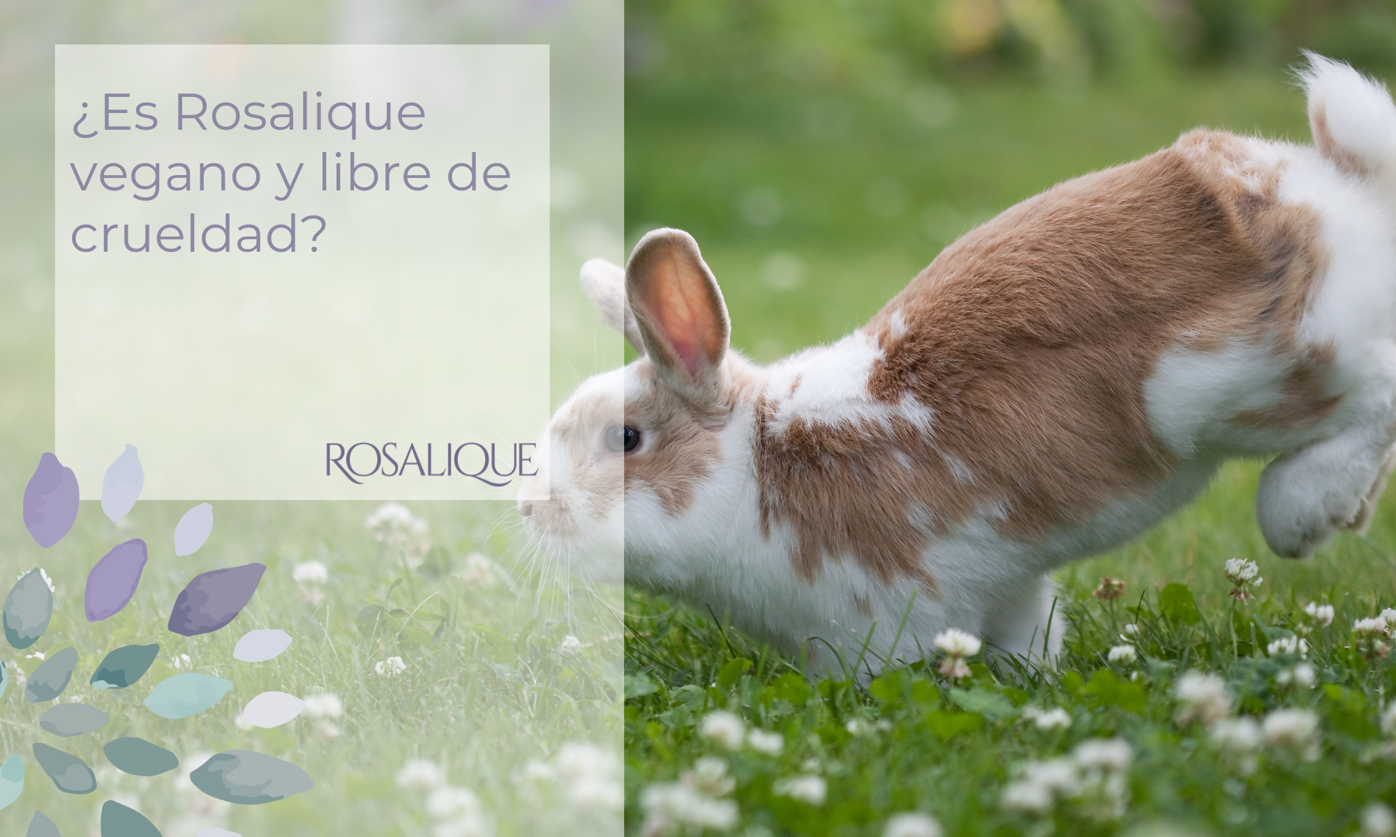 ¿Es Rosalique vegano y libre de crueldad?